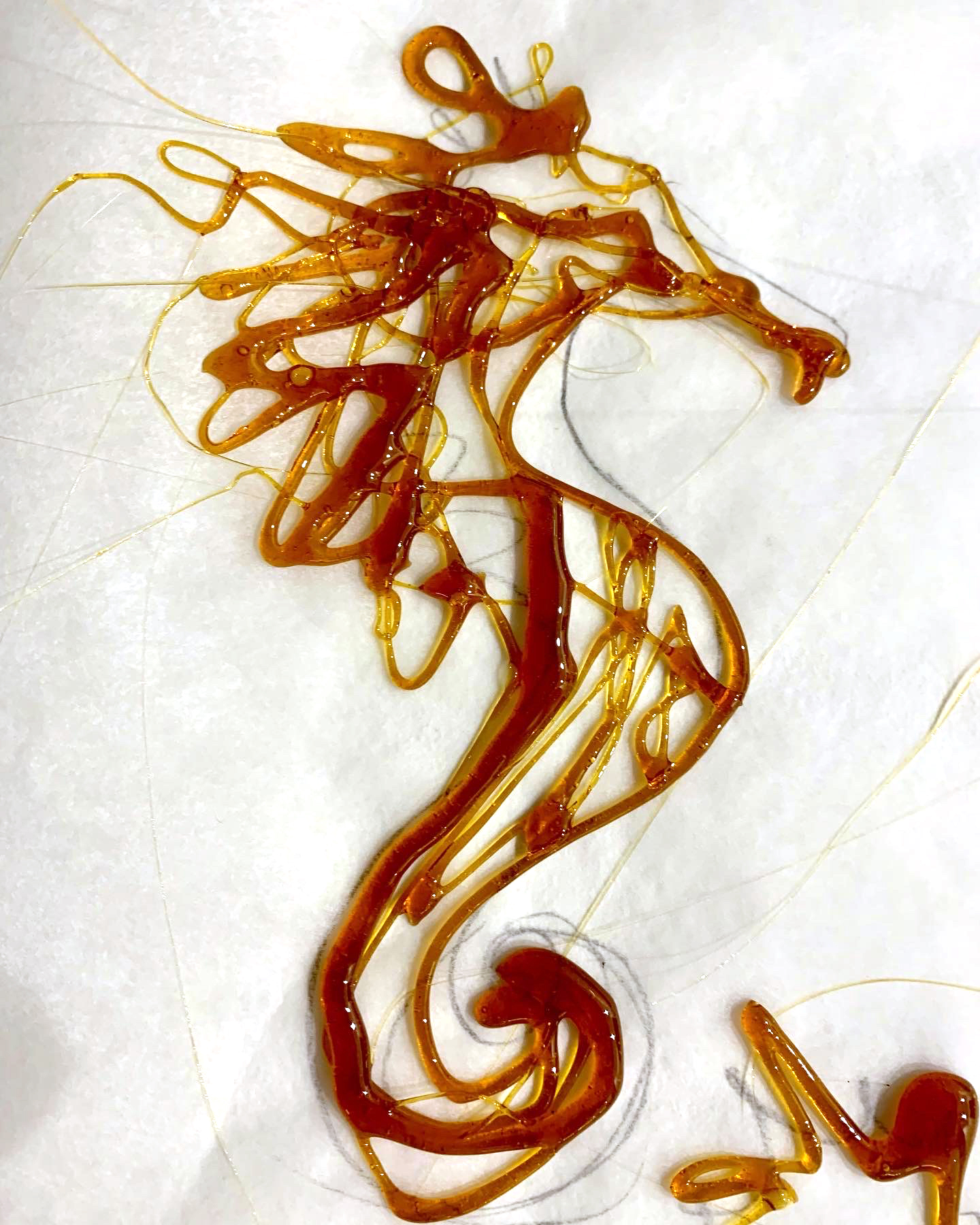 cavalluccio-marino-zucchero-caramello